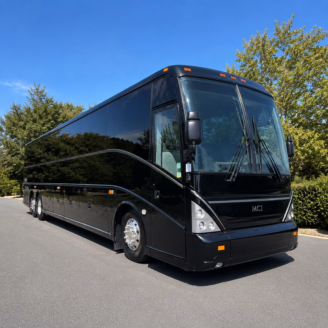 bayou wildlife zoo and alvin field trip bus rentals